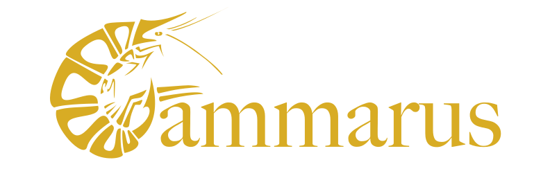Gammarus